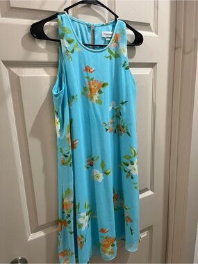 Calvin Klein Women’s Aqua Blue Floral Sleeveless Summer Dress Size 8